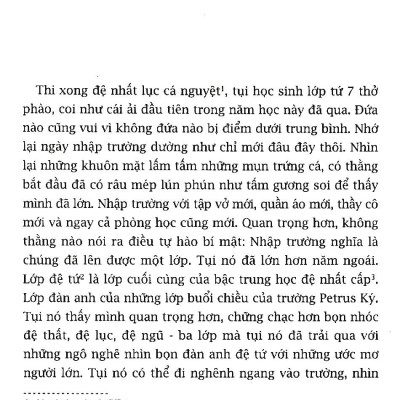 Sách - Mùa Hè Năm Petrus (Tái Bản 2025)