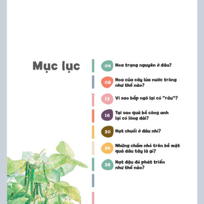 Wow, Thì Ra Là Thế! - Sự Sinh Trưởng Của Thực Vật