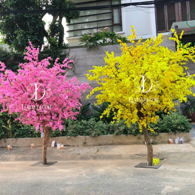 Cây mai giả trang trí Tết 2025 SHIP HOẢ TỐC HCM cây mai lắp ráp cao 1m5 2m mai Vàng nhận đặt mẫu theo yêu cầu