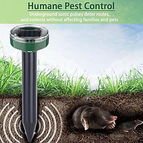 Thiết Bị Đuổi Chuột, Gián, Rắn, Côn Trùng Tự Động Bằng Sóng Siêu Âm Năng Lượng Mặt Trời , ĐÈN TRANG TRÍ , ĐỒNG HỒ TREO TƯỜNG