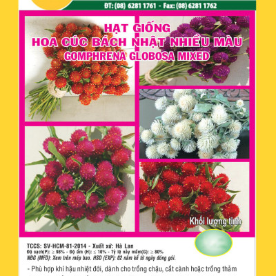Hạt giống hoa Cúc Bách Nhật nhiều màu VTS147