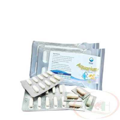 Bột xử lý cá tép chết lai rai Pranee Aquarium 1 ức chế diệt sát khuẩn nấm bể cá tép cảnh