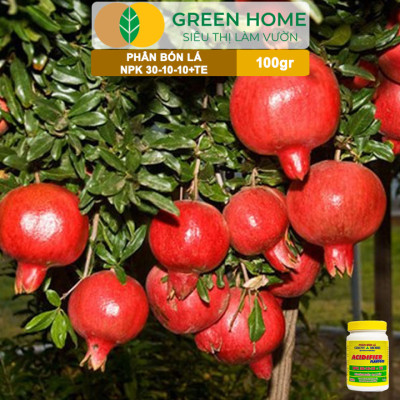 Phân Bón Lá Grow More NPK 30-10-10, GreenHome, Chai 100GR, Đẻ Nhánh Khỏe, Ra Lá Tốt