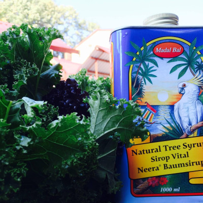 FlashSale Siro Detox Neera Madal Bal Natural Tree Syrup Date 11/2025