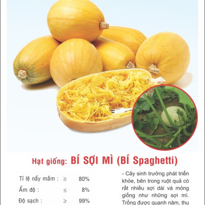 Hạt giống Bí Sợi Mì dẻo thơm ngọt VTP167