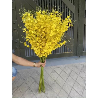 Cành hoa vũ nữ giả - Cành 5 nhánh - dài 80cm - Cây giả, hoa lụa Decor trang trí nhà cửa