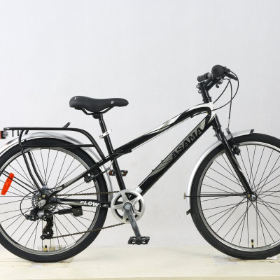 Xe đạp thể thao Asama TRK FL2401