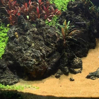 Cát Nắng Vàng 1.2KG trải nền bể cá thủy sinh, hạt to làm thác suối cát, vật liệu lọc nước, trang trí hồ cá, tiểu cảnh siêu đẹp, khử asen, tạp chất có trong nước sinh hoạt hàng ngày