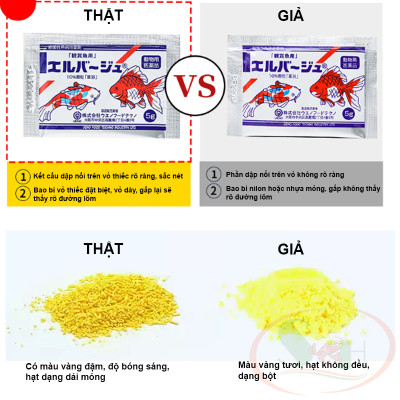 Tetra Nhật loại A xử lý nấm khuẩn phòng bệnh dưỡng cá tép cảnh