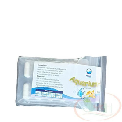 Bột xử lý cá tép chết lai rai Pranee Aquarium 1 ức chế diệt sát khuẩn nấm bể cá tép cảnh