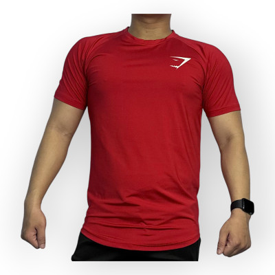 Áo nam tập gym thể thao DO GYM SHOP thun lạnh 4 chiều không xù lông AGTN81