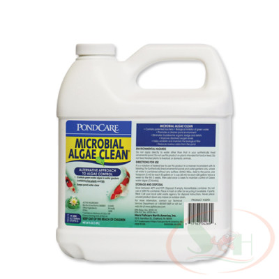 Xử lý tảo API Microbial Algae Clean vi sinh phân hủy mùn bã cặn nước xanh bể cá tép