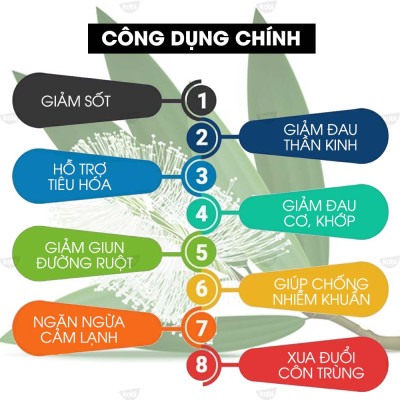 Tinh Dầu Tràm Gió Cajeput Kobi Nguyên Chất Tốt Cho Trẻ Sơ Sinh (50ml)