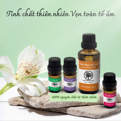 Combo Tinh Dầu Bảo Vệ Sức Khỏe Nano Cinnamon - Quế, Bạc Hà, Sả, 30ml