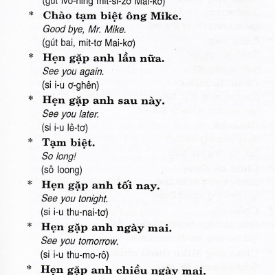Căn Bản Đàm Thoại Tiếng Anh (Dành Cho Tài Xế Taxi, Cyclo, Honda Ôm) (Tái Bản)