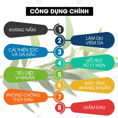 Tinh Dầu Tràm Trà Kobi Nguyên Chất (10ml)
