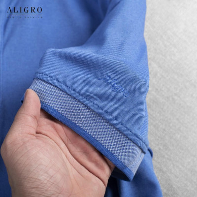 Áo phông polo nam - form to cộc tay  Xanh dương ALGPLO26