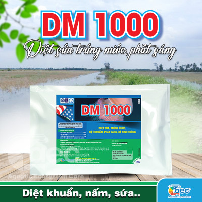 DM 1000 – Giải pháp xử lý trứng nước, phát sáng, cải thiện môi trường ao nuôi cá tôm