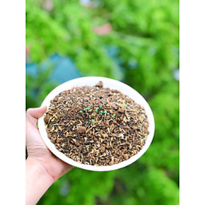 Đất trồng cây cảnh , chuyên dụng cho cây xanh lá , khoẻ mạnh , tươi tốt khối lượng 1kg