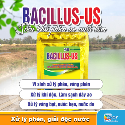 Bacillus Us – Chế phẩm vi sinh hỗ trợ giảm phèn, cải thiện môi trường ao nuôi tôm