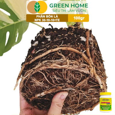 Phân Bón Lá Grow More NPK 30-10-10, GreenHome, Chai 100GR, Đẻ Nhánh Khỏe, Ra Lá Tốt