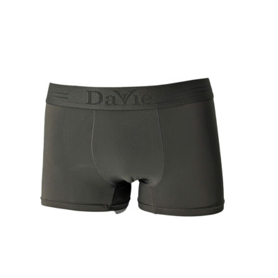 Quần Lót Nam Thương Hiệu Davie Dvtl036 Quần Lưới Thông Hơi Cao Cấp Chất Liệu Thun Lạnh