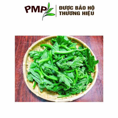Hạt Giống Bí Siêu Ngọn PMP
