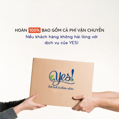 TINH DẦU TRÀM GIÓ YES! (CAJEPUT ESSENTIAL OIL)