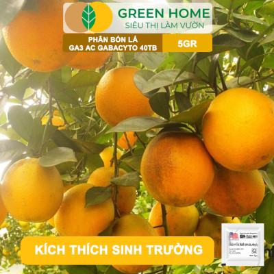 Phân Bón Lá GA3 Greenhome, 40TB, Viên 5gr, Dạng Sủi Tiết Kiệm, Thúc Đẩy Ra Đọt, Bông Lớn, Trái To