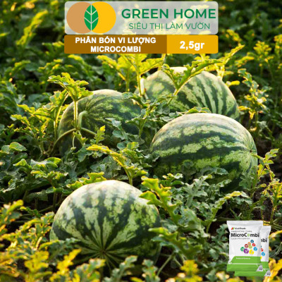 Phân Vi Lượng Micro Combi, GreenHome, Gói 2.5Gr, Cung Cấp Vi Lượng Thiết Yếu Cho Cây Trồng