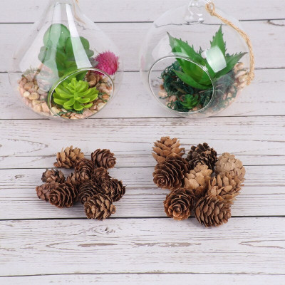 Quả thông khô trang trí Noel - Cây giả, hoa lụa trang trí nhà cửa
