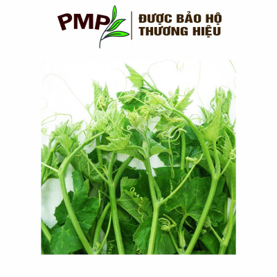 Hạt Giống Bí Siêu Ngọn PMP