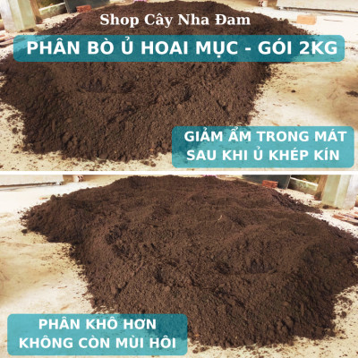 Phân Bò Ủ Hoai Mục Đã Qua Xử Lý Và Ủ Với Trichoderma,Trồng Rau Sạch, Hoa, Cây Cảnh, Cây Ăn Trái (Gói 2Kg)