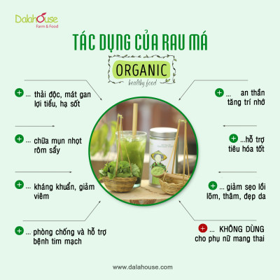 Bột rau má sấy lạnh dalahouse, hỗ trợ thanh nhiệt - mát gan- giảm mụn hiệu quả. Mỗi ngày 1 ly rau má chia tay táo bón