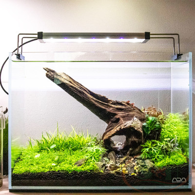 Đèn led Twinstar B Line WRGB 30B, 45B, 60B, 90B, 120B quang phổ cao cấp bể cá tép thủy sinh