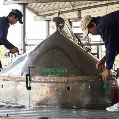 Tinh dầu Hương Nhu 100ml Mộc Mây - tinh dầu thiên nhiên nguyên chất 100% - chất lượng và mùi hương vượt trội - chuyên gia chăm sóc tóc hư tổn