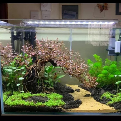 Cát Nắng Vàng 1.2KG trải nền bể cá thủy sinh, hạt to làm thác suối cát, vật liệu lọc nước, trang trí hồ cá, tiểu cảnh siêu đẹp, khử asen, tạp chất có trong nước sinh hoạt hàng ngày