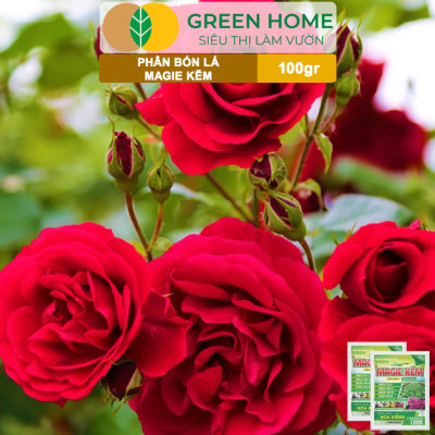 Phân Bón Lá Magie Kẽm, GreenHome, Gói 100GR, Chuyên Dùng Cho Hoa Kiểng