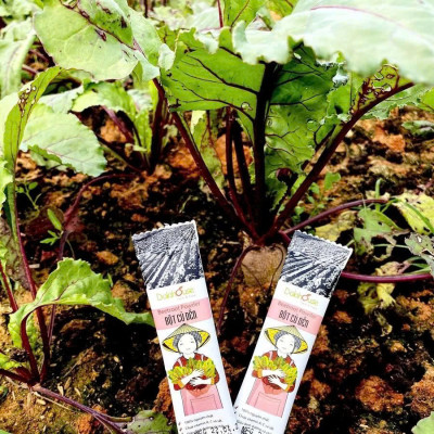 Bột Củ Dền Hữu Cơ Nguyên Chất Sấy Lạnh Dalahouse - Thải Độc Gan, Chống Viêm Gan, Tăng Cường Thể Lực, Cải Thiện Hệ Miễn Dịch, Ngăn Ngừa Thiếu Máu, Hỗ Trợ Người Bệnh Gout, Tốt Cho Dạ Dày, Điều Hòa Huyết Áp, Cải Thiện Trí Nhớ