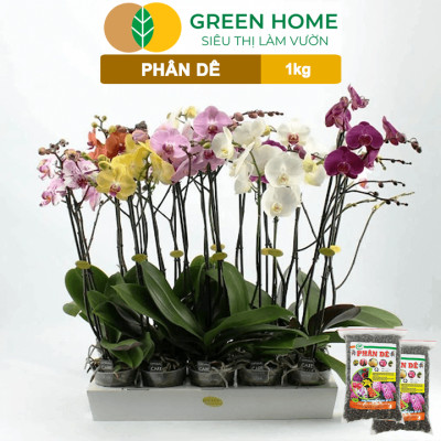 Phân Dê Trồng Lan Greenhome, Túi 1kg, Đã Qua Xử Lý, Không Mùi, Kích Rễ, Hoa Đậm Màu