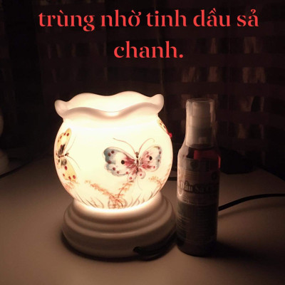 TINH DẦU SẢ CHANH NGUYÊN CHẤT MẸ KEN (100ml)