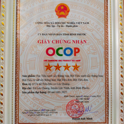 Bột tiêu xanh sấy thăng hoa