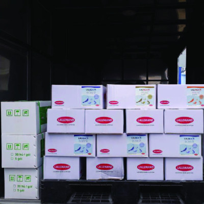 Vi sinh xử lý nước ao nuôi thủy sản LALSEA BIOREM (Nhập khẩu)