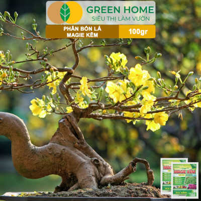 Phân Bón Lá Magie Kẽm, GreenHome, Gói 100GR, Chuyên Dùng Cho Hoa Kiểng