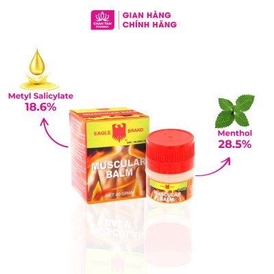 [Chính Hãng Singapore] COMBO 3 Lọ Cao Xoa Bóp Con Ó Muscular Balm 20g - Giảm Đau Cơ Hiệu Quả
