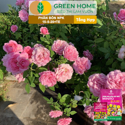 Phân NPK 15-5-20 Greenhome, Minro, Bao 200gr, Kích Ra Hoa, Tăng Đậu Trái Trên Kiểng, Cây Ăn Trái, Củ, Quả