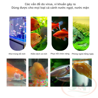 Tetra Nhật loại A xử lý nấm khuẩn phòng bệnh dưỡng cá tép cảnh