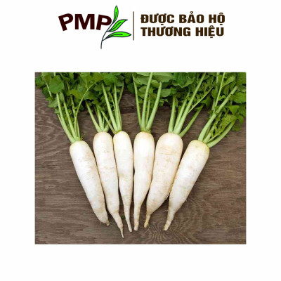 Hạt Giống Củ Cải Trắng PMP 5g