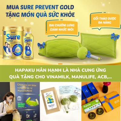 Túi than hoạt tính khử mùi xe hơi Hapaku - 100% từ gáo dừa Bến Tre