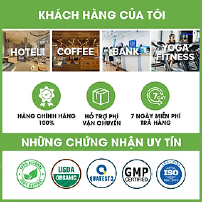 Tinh Dầu Hoa Mộc Lan Nguyên Chất Hữu Cơ MỘC THỦY 100ML - Magnolia Essential Oil - Khử Mùi Xông Thơm Phòng, Thư Giãn - Đạt chuẩn chất lượng kiểm định